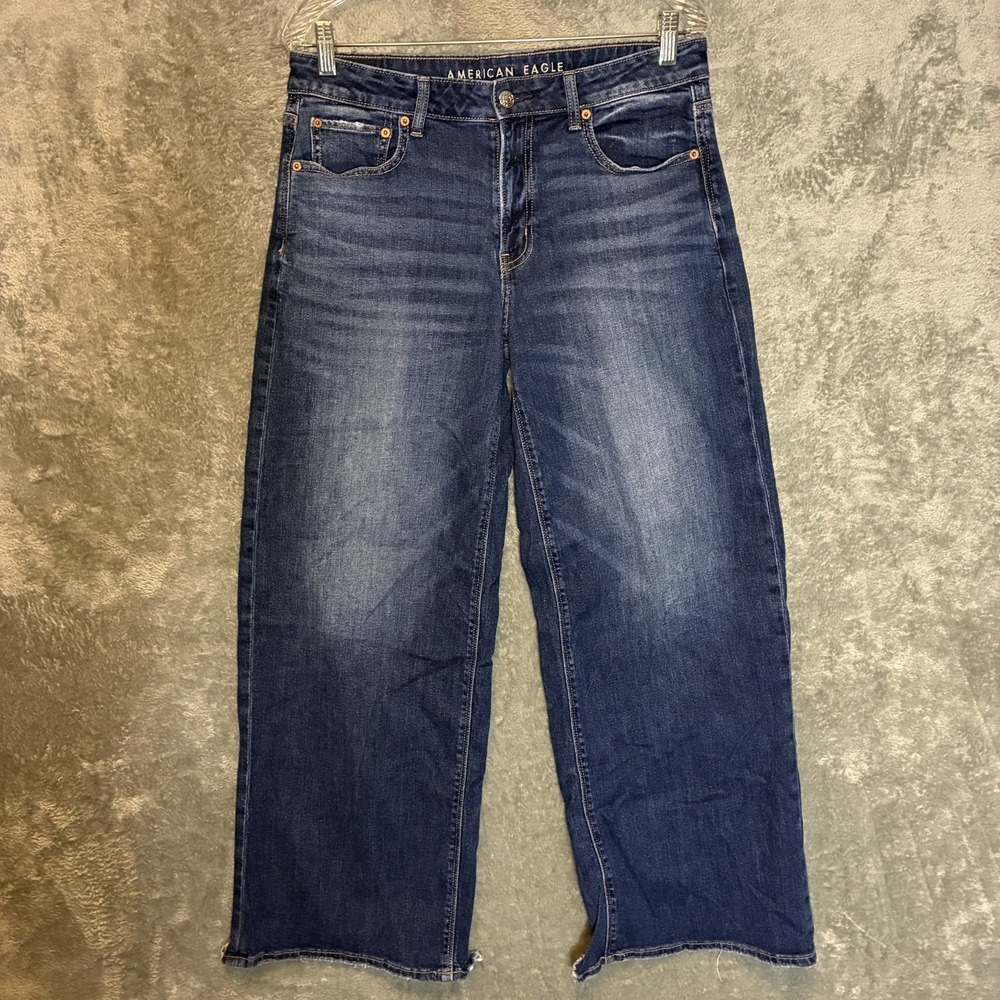 American Eagle Womens Low Rise Baggy Wide Leg Jean 6 Boho Chic Casual Minimalist